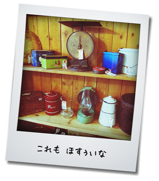 kako-Rrr8qiP1G7VrwrzP これもほしいな3.png