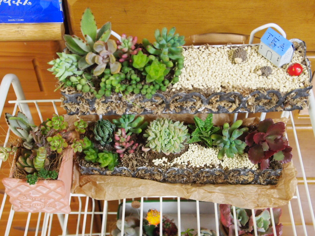 2010_1223画像0158.JPG