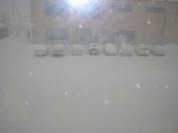 窓の外は猛吹雪！これが午前１１時の映像です！