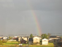 こんな大きな虹が・・・夕方ニュースでも紹介されてました！