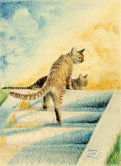 猫のいる風景