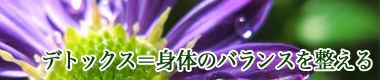 デトックス|身体のバランスを整えるダイエット
