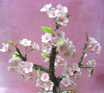 樹脂粘土で桜～♪ | ｼｭｶﾞｰｸﾗﾌﾄ・ﾗｯﾋﾟﾝｸﾞ教室 さくらしゅがー館 - 楽天