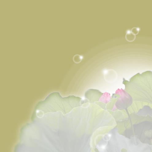 蓮3