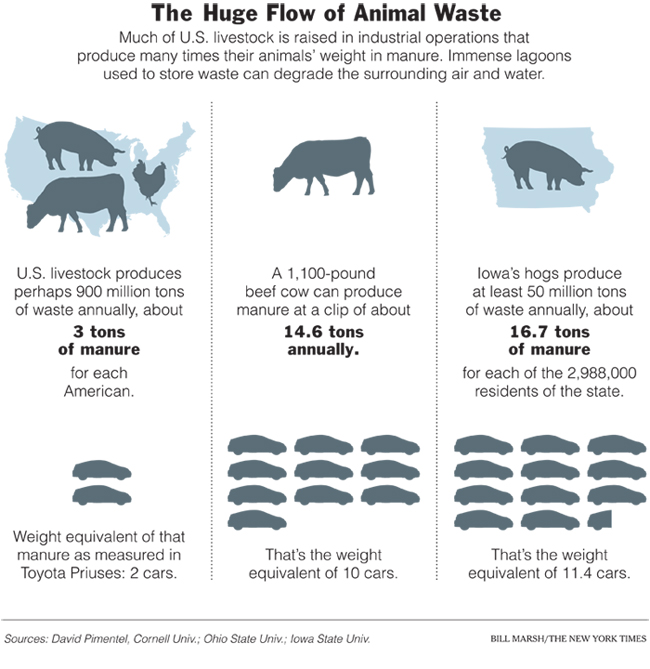 The Huge Flow of Animal Waste