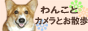 わんこグッズ紹介しています♪