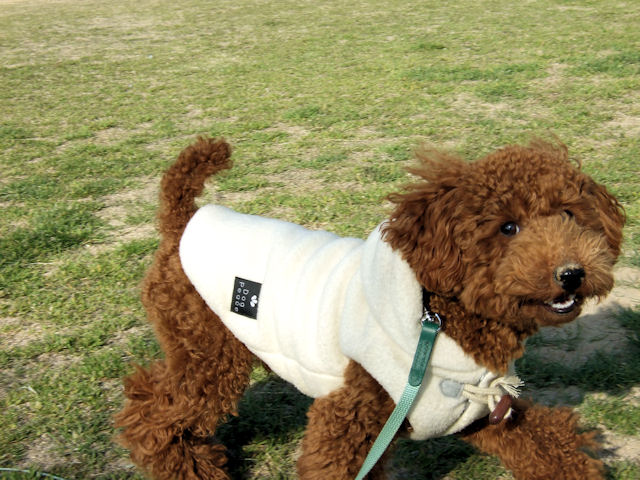 公園