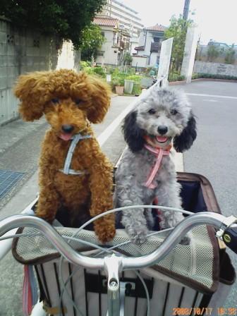 自転車キャリー