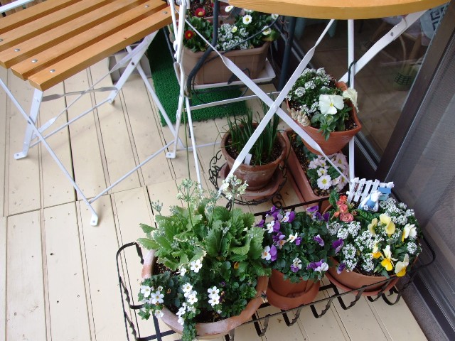 寄せ植え