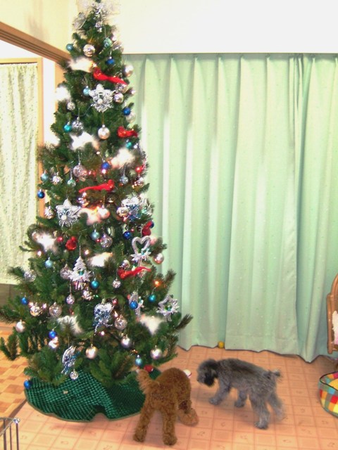 クリスマスツリー