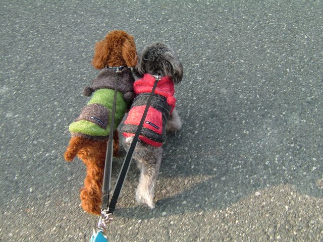 お揃い