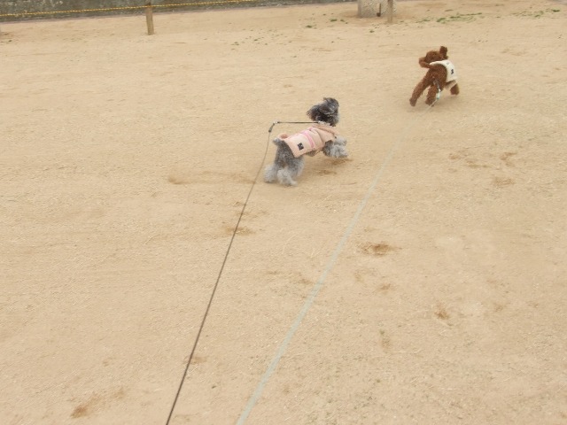 公園1