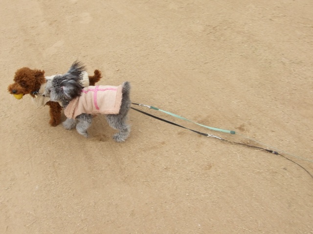 公園2