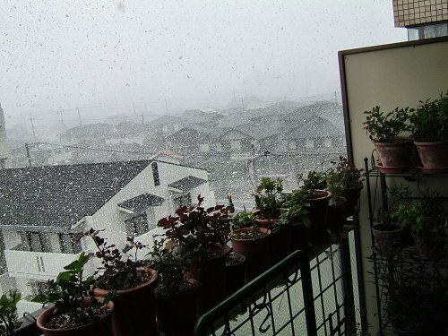 雪60313_016.jpg