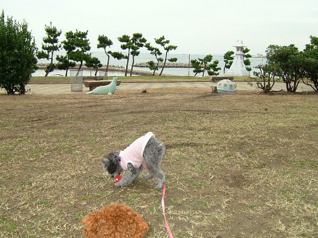 神社