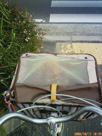 自転車キャリー2