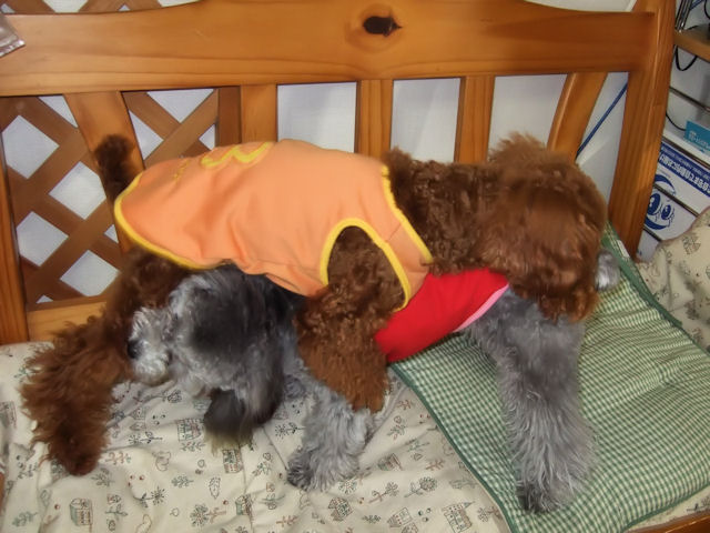 挌闘中^^;