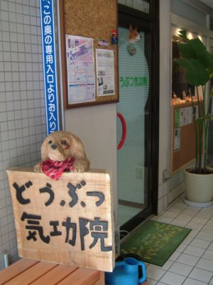どうぶつ気功院