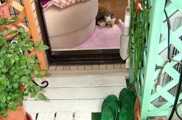 すずベランダ60311_08.jpg