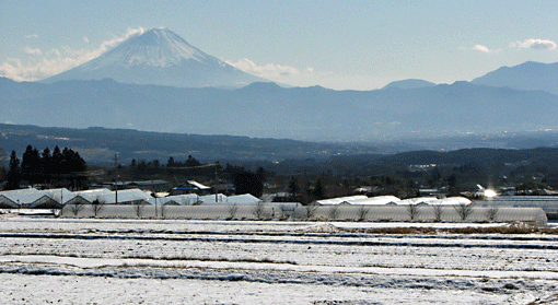 富士山.gif
