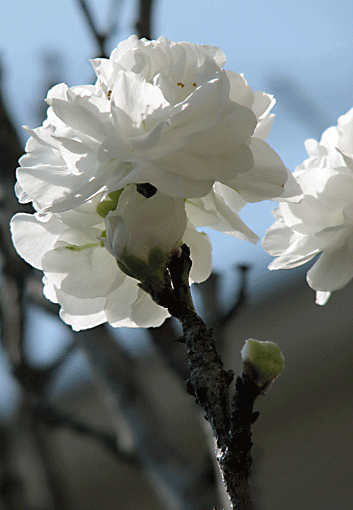 IMG_6890.gif