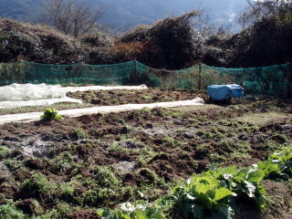 荒起こし