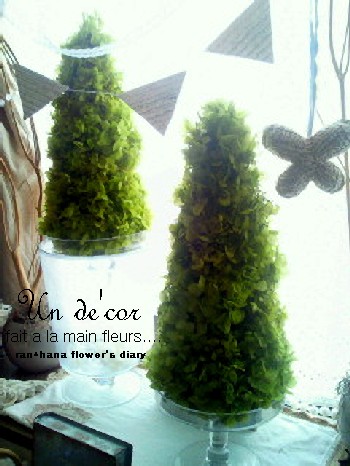 201110171030000.jpg