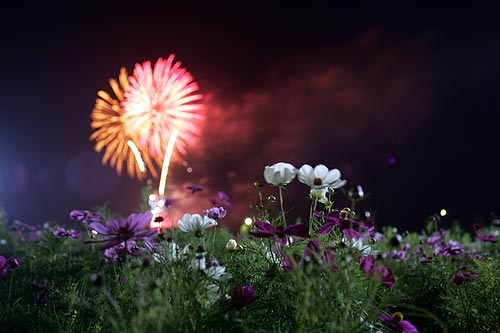 fireworks