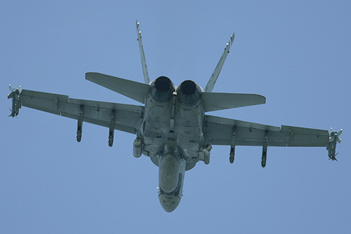 岩国基地_VMFA-115_SilverEagles_20060903