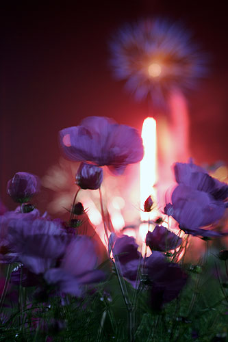 fireworks