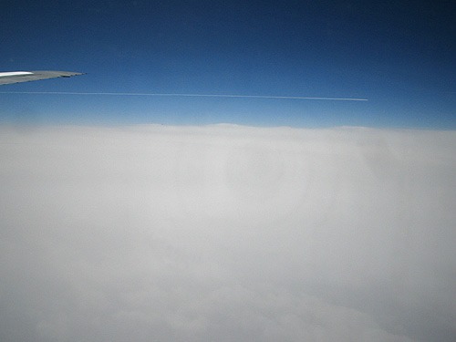 ANA676Flight