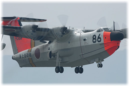 IY9E4451.jpg