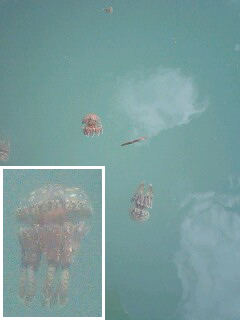 GRP_0028.jpg