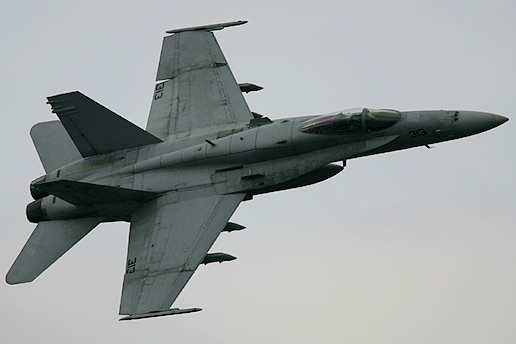 VFA-192World Famous Golden Dragons
