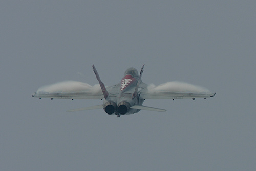 VFA-102Diamondbacks