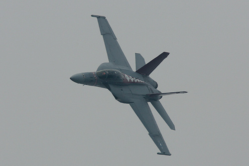 VFA-102Diamondbacks