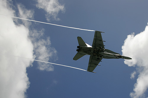 IY9E4538.jpg