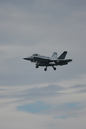 VFA-94"Mighty Shrikes"