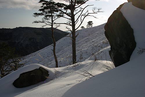 深入山2