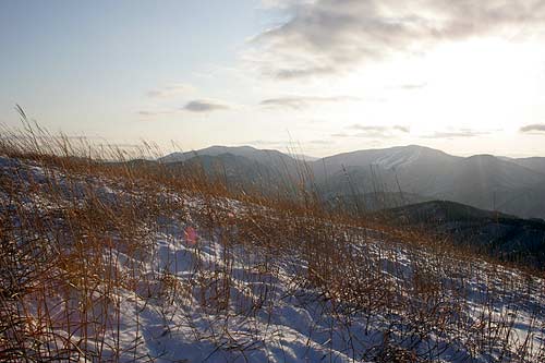 深入山8