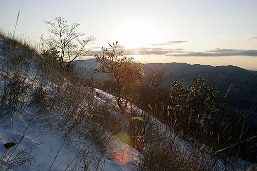 深入山7