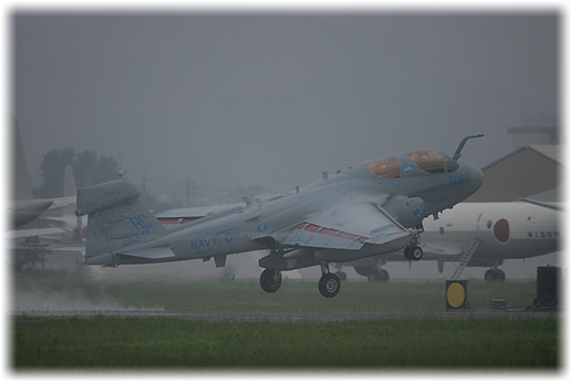 IY9E8390.jpg