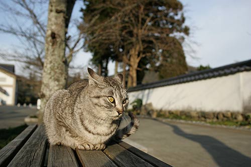 070225-吉香公園