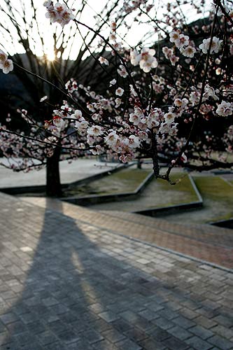 070225-吉香公園