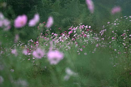 20071008-1.jpg
