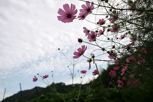 20071008-3.jpg