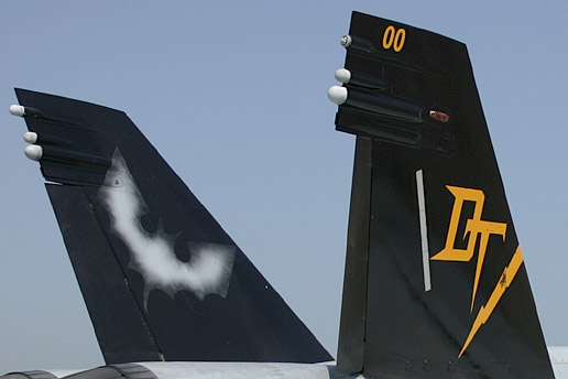 VMFA(AW)-242Bats