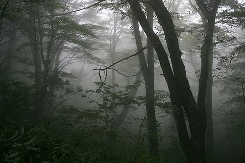 20071008-4.jpg