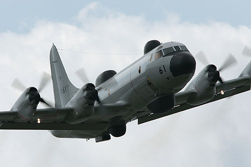 UP-3D_61_20071020.jpg