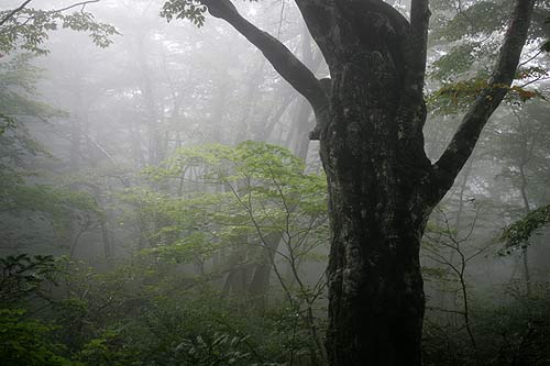 20071008-6.jpg